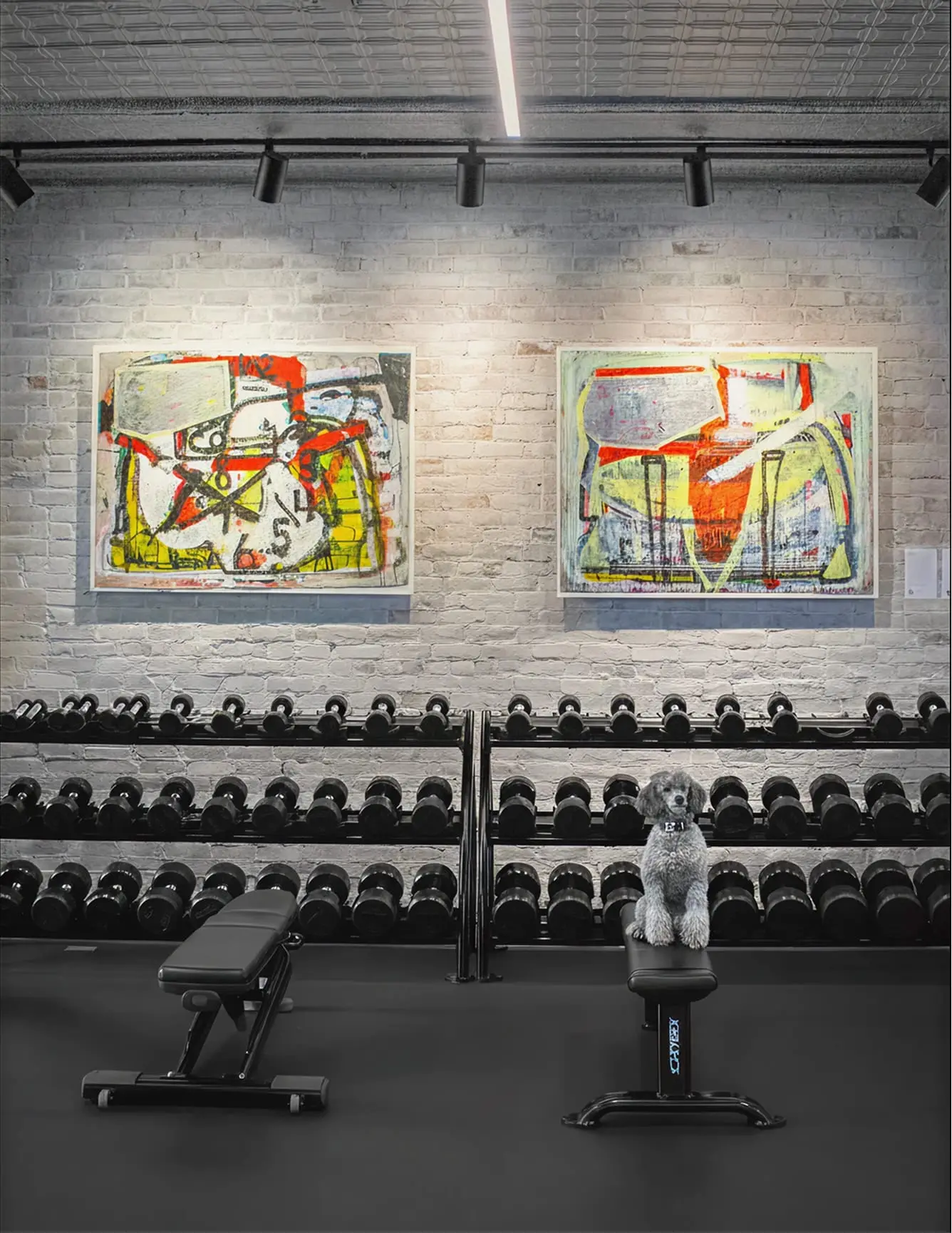 Artwork and equipment at The Studio
